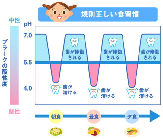 規則正しい食習慣のステファンカーブ