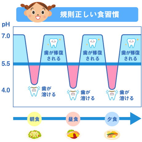 規則正しい食習慣のステファンカーブ