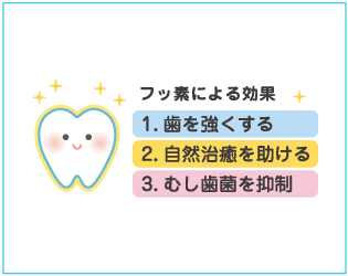 フッ素塗布した歯のイラスト